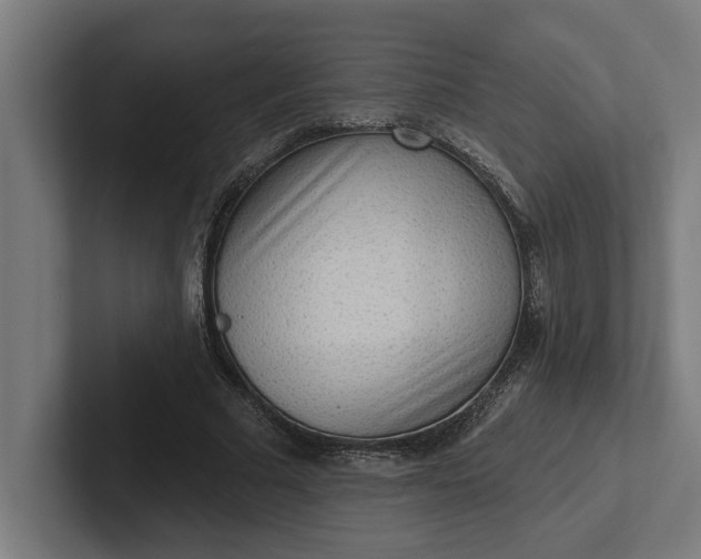 X0000102000681200808011122