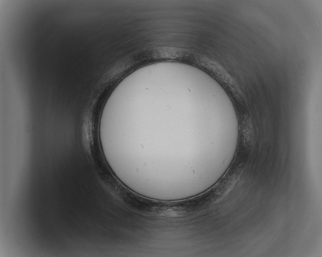 X0000102000683200808011122