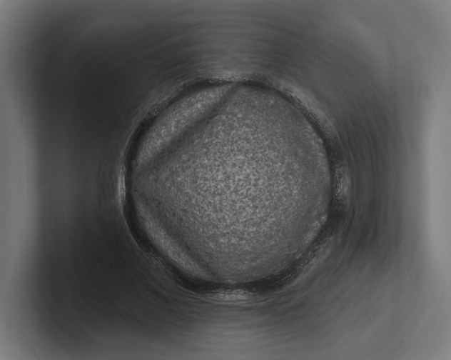 X0000102000685200808011122