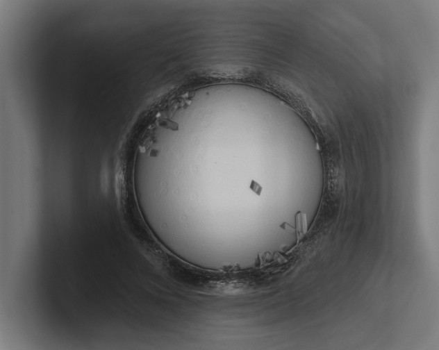 X0000102000688200808011122