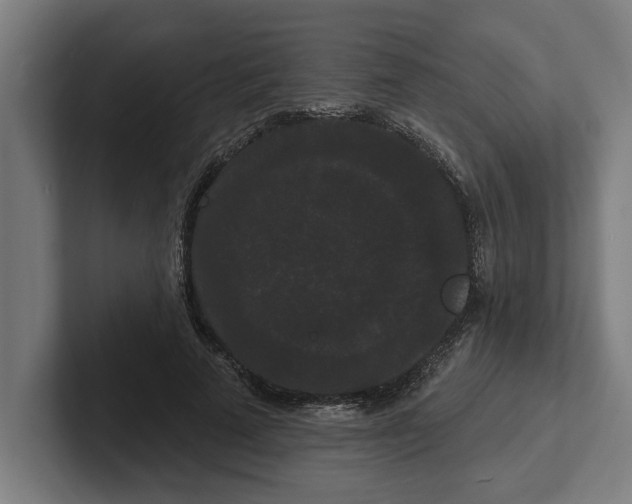 X0000102000689200808011122