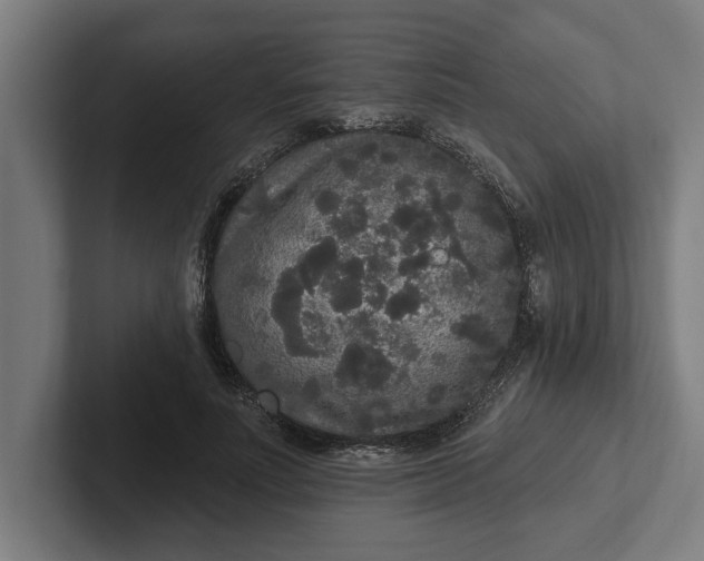 X0000102000691200808011122