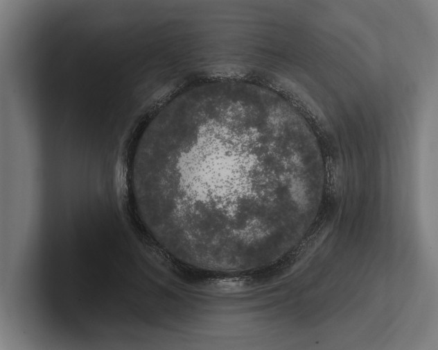 X0000102000692200808011122