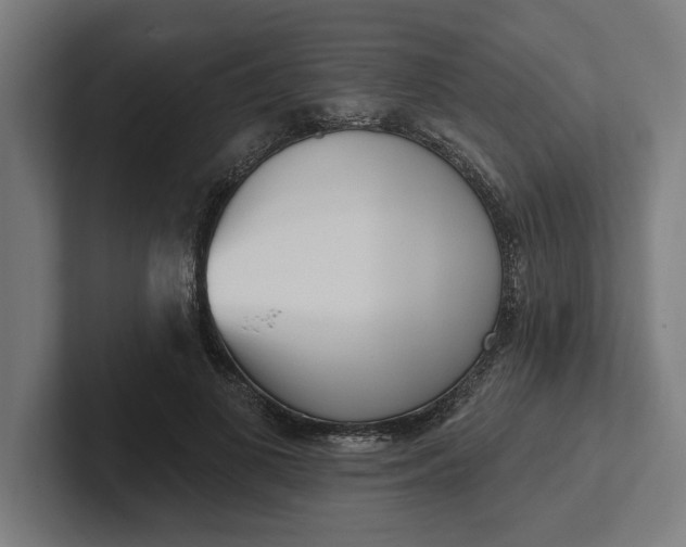 X0000102000693200808011122