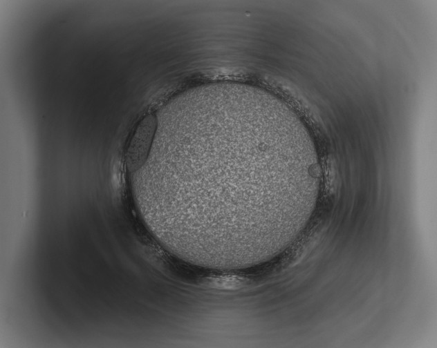 X0000102000695200808011122