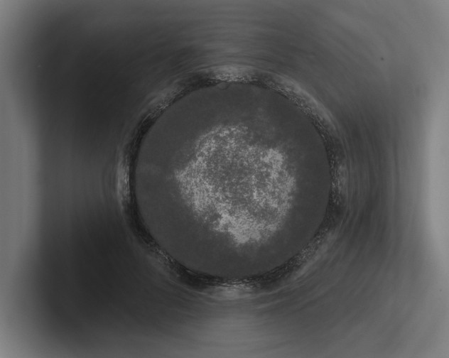 X0000102000696200808011122