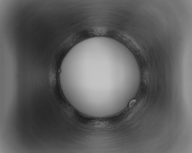 X0000102000697200808011122