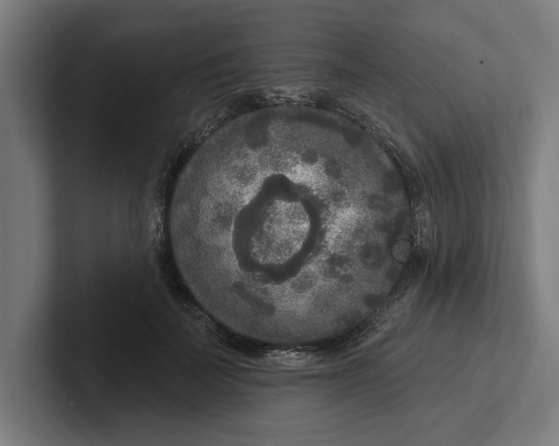 X0000102000699200808011122