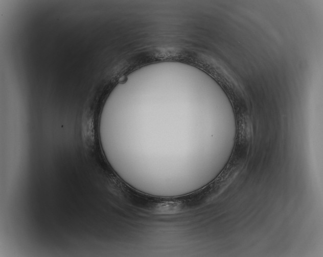 X0000102000700200808011122