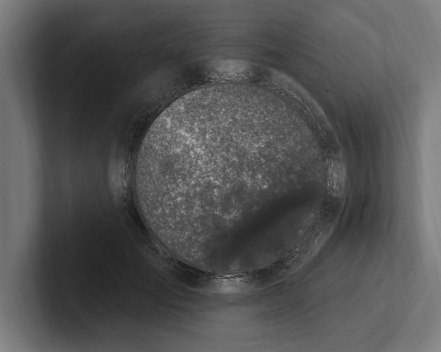 X0000102000701200808011122