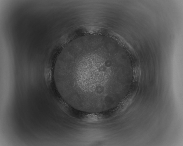 X0000102000703200808011122