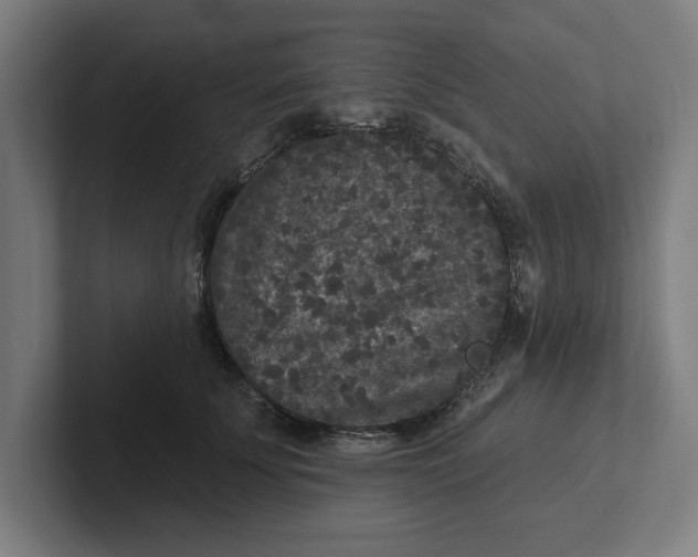 X0000102000707200808011122