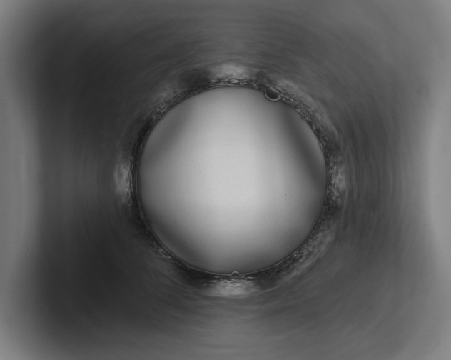 X0000102000708200808011122