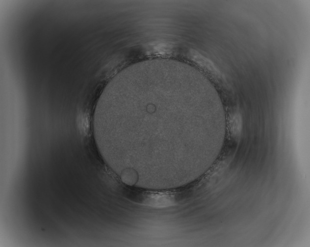 X0000102000709200808011122