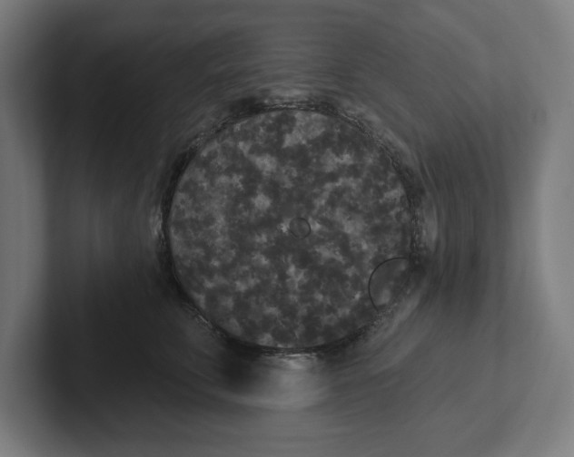 X0000102000711200808011122