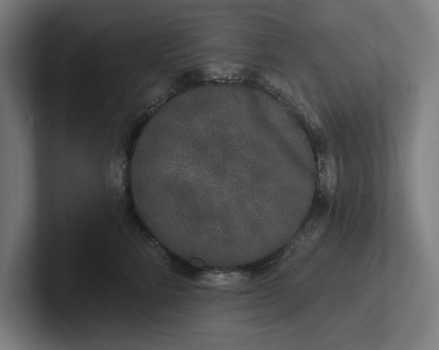 X0000102000712200808011122