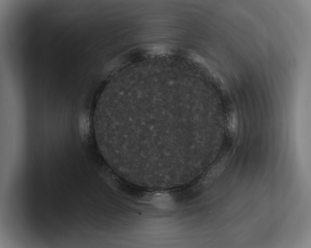 X0000102000715200808011122