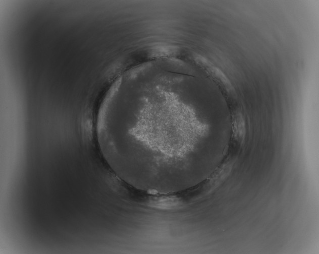 X0000102000716200808011122