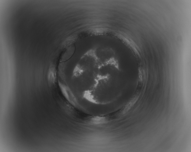 X0000102000718200808011122