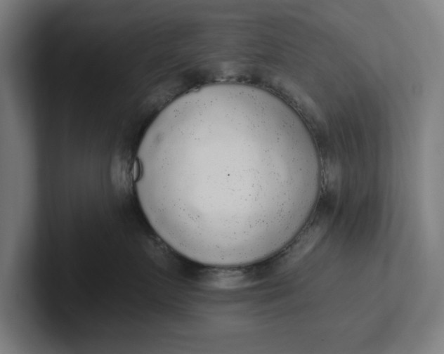 X0000102000719200808011122