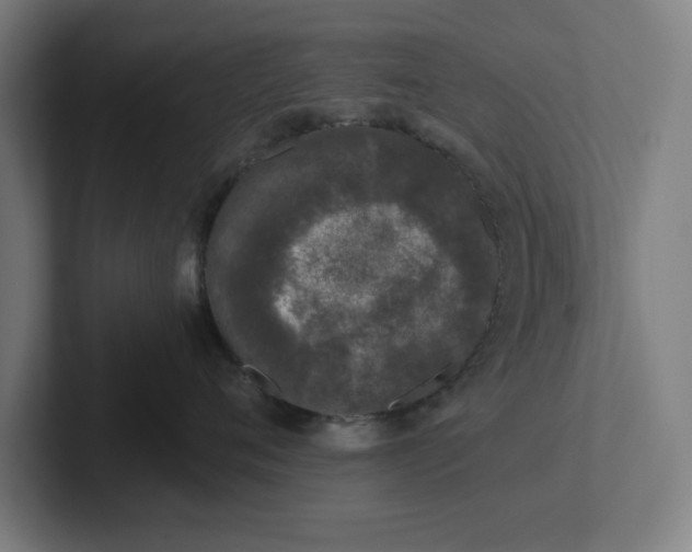 X0000102000720200808011122