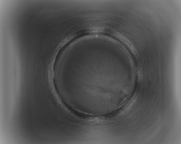 X0000102000721200808011121