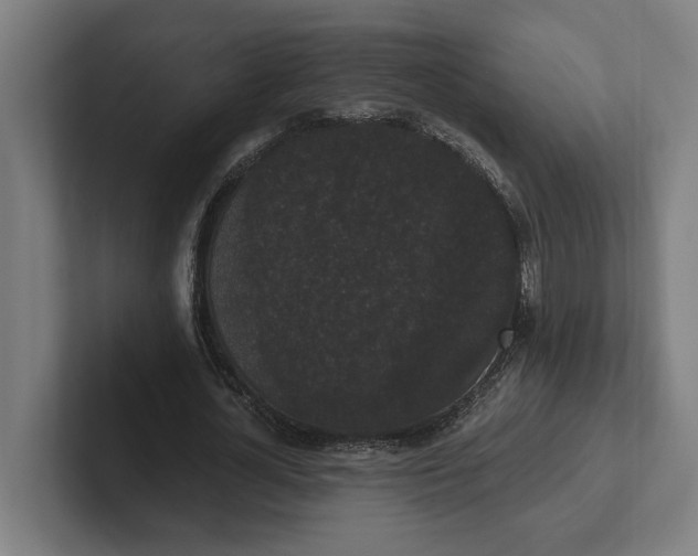 X0000102000724200808011121