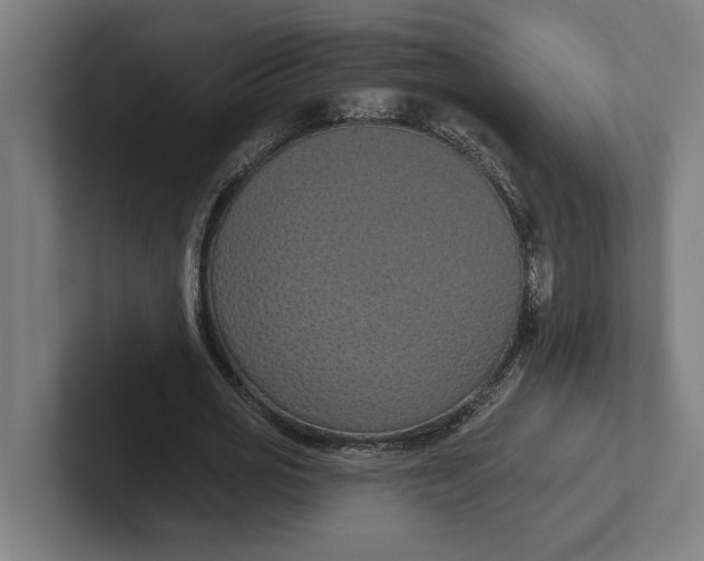 X0000102000725200808011121