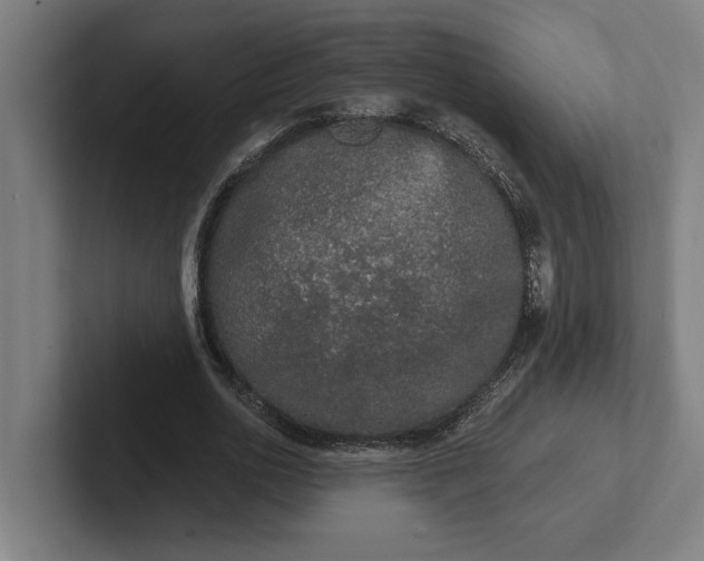 X0000102000726200808011121