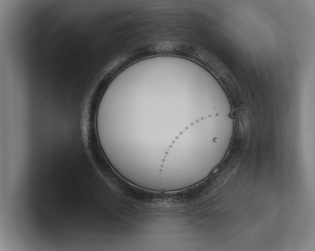 X0000102000728200808011121