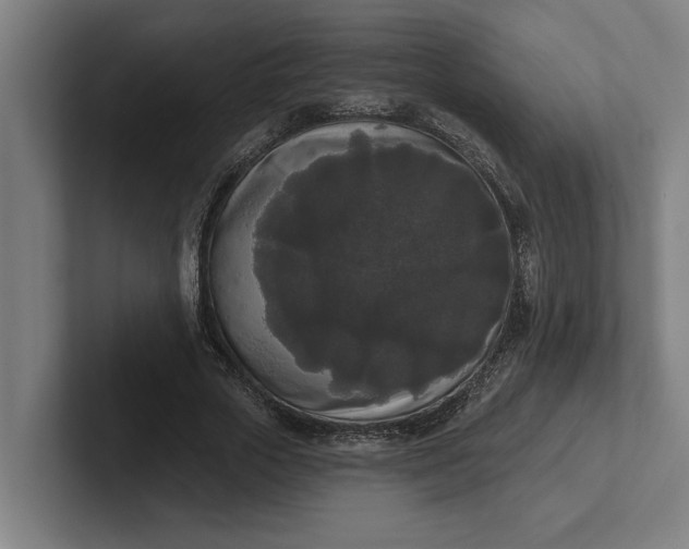 X0000102000729200808011121