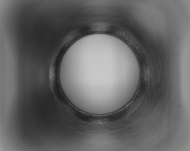 X0000102000731200808011121