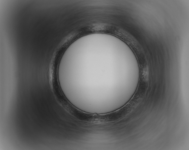 X0000102000732200808011121