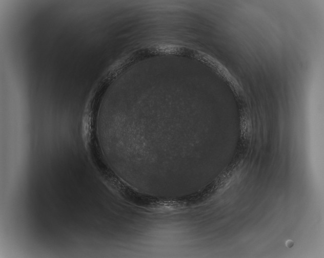 X0000102000736200808011121