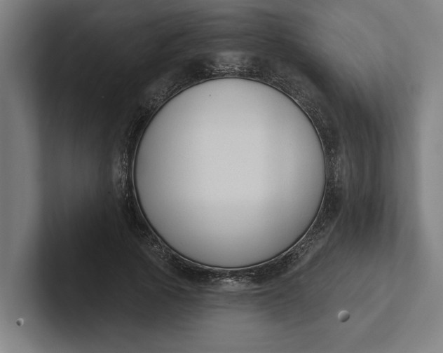 X0000102000737200808011121