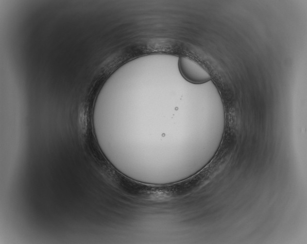 X0000102000741200808011121