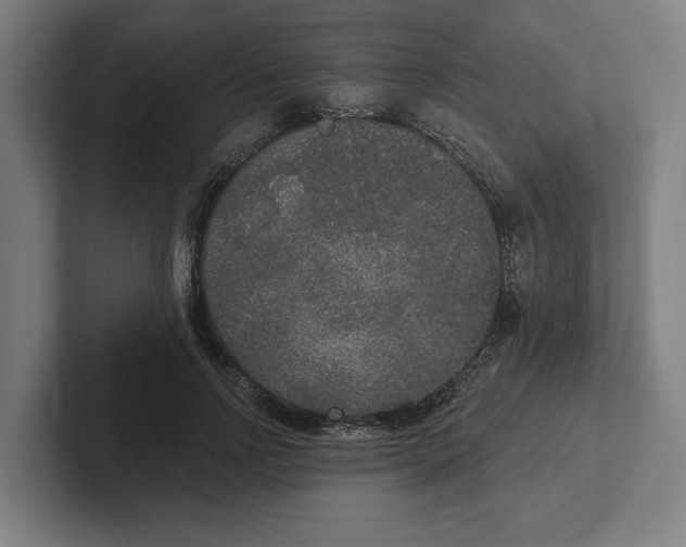 X0000102000742200808011121