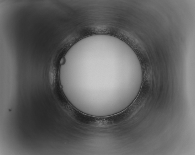 X0000102000744200808011121