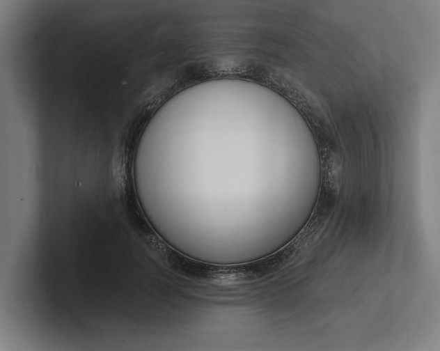 X0000102000746200808011121