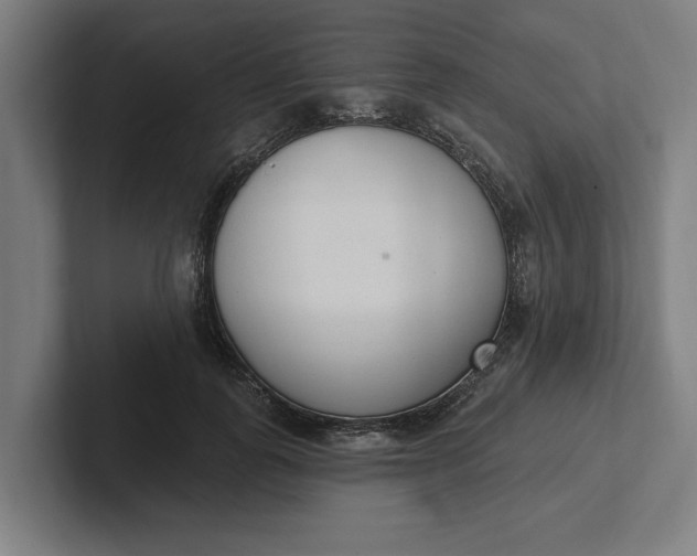 X0000102000747200808011121