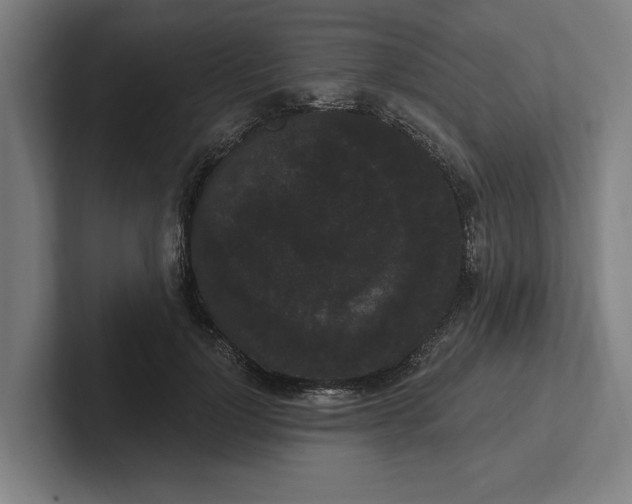 X0000102000748200808011121