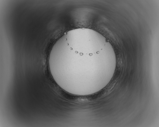 X0000102000749200808011121