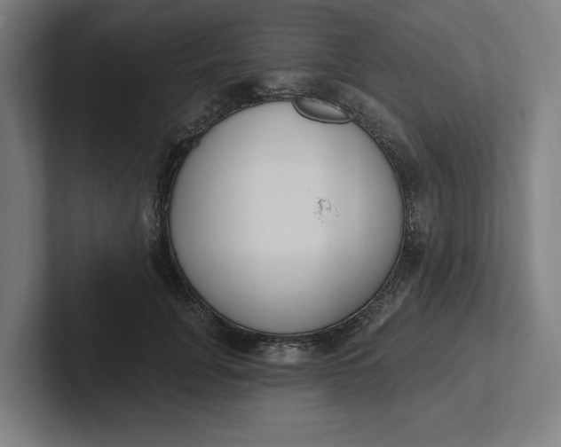 X0000102000751200808011121