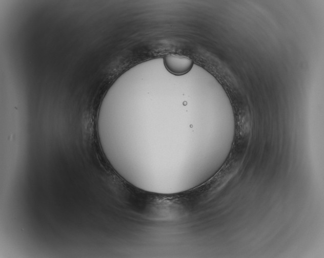 X0000102000753200808011121