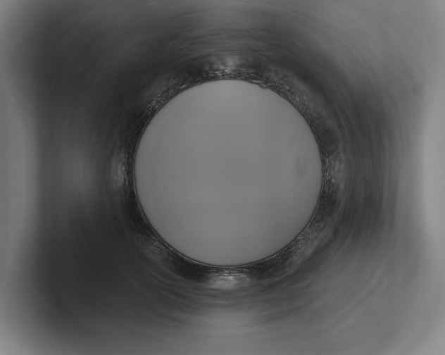 X0000102000754200808011121