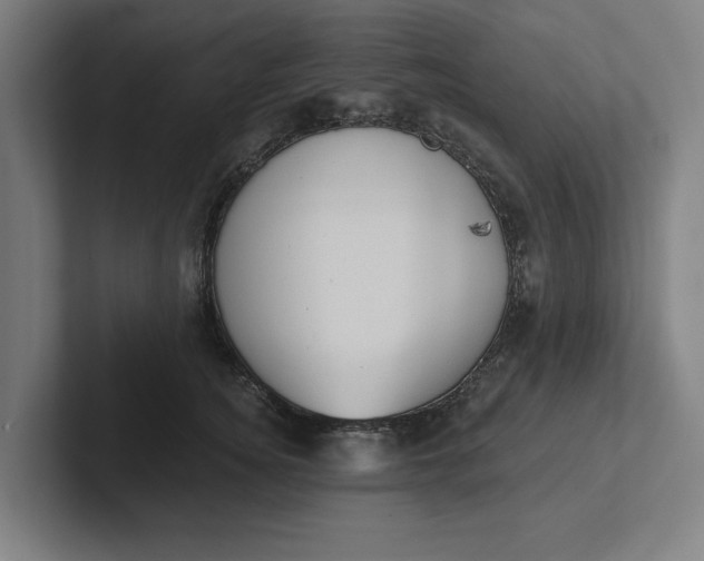 X0000102000756200808011121