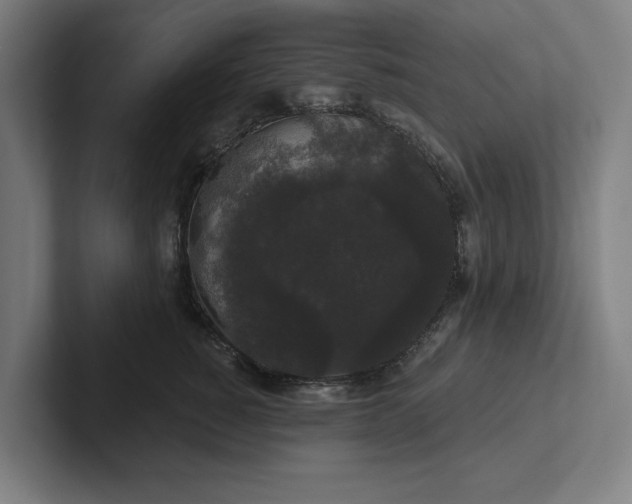 X0000102000760200808011121