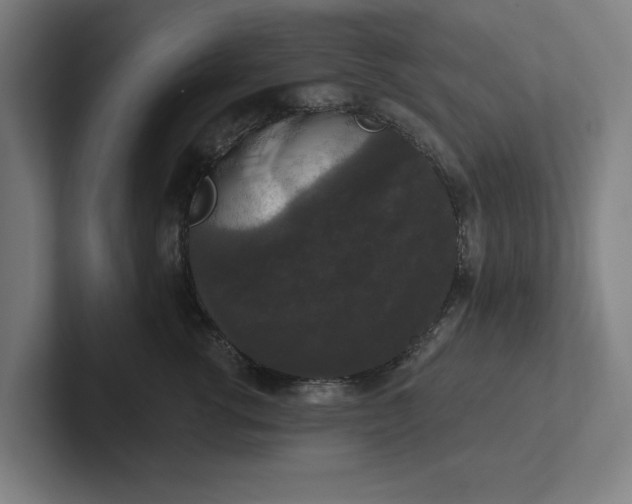 X0000102000762200808011121