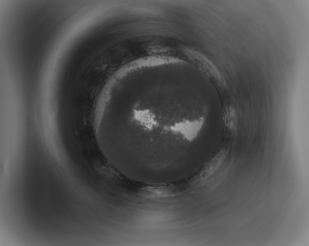 X0000102000763200808011121