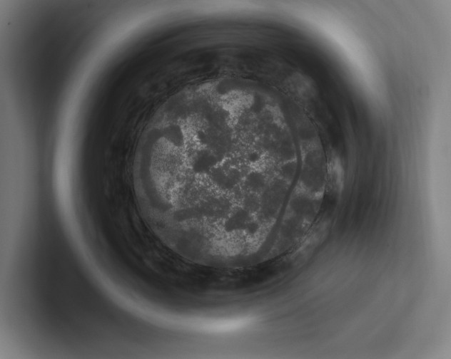 X0000102000765200808011121